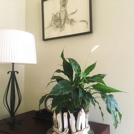 Panache Wildlife Cottage-Self Catering Hoedspruit Extérieur photo