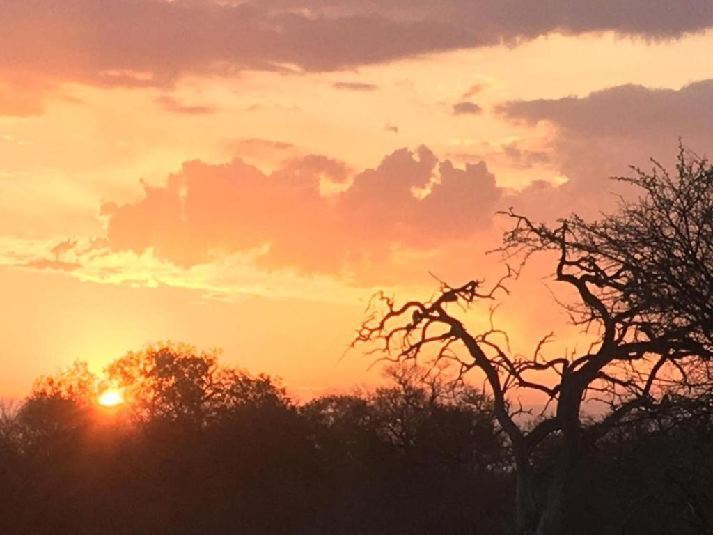 Panache Wildlife Cottage-Self Catering Hoedspruit Extérieur photo